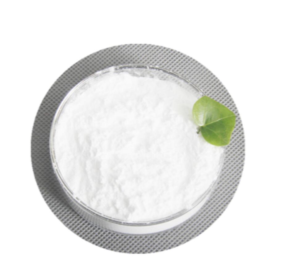 Rocuronium Bromide Cas 119302-91-9 China Vendor with High Quality And Best Price