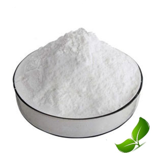 Supply High Quality Salicylhydrazide CAS 936-02-7 2-Hydroxybenzhydrazide With Stock 