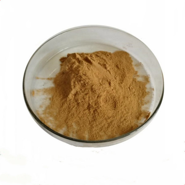 Supply High Purity Fulvic Acid CAS 479-66-3 With Fast Delivery 