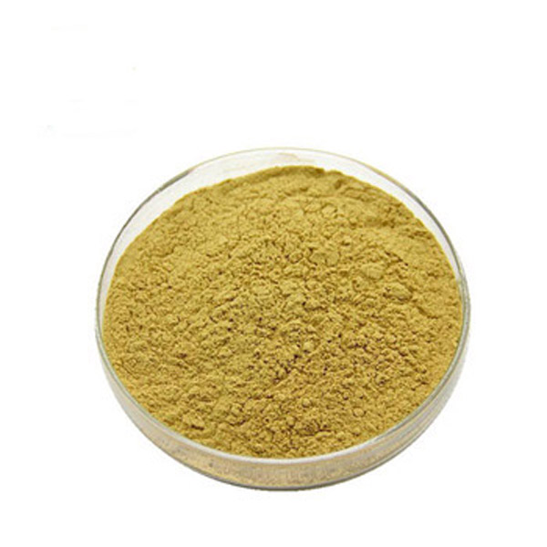 High Quality 4-Nitrophthalic acid 4-NitrophthaL CAS 610-27-5 